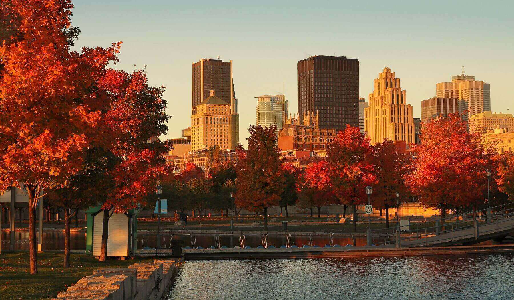 Découvrir Montréal